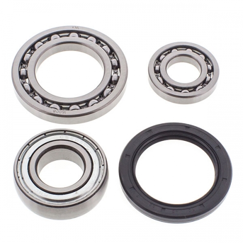 ALL BALLS CHAIN CASE BEARING & SEAL KIT (14-1042)