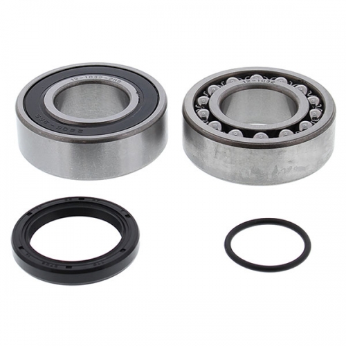 ALL BALLS CHAIN CASE BEARING & SEAL KIT (14-1071)