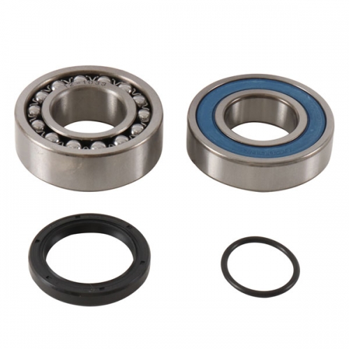 ALL BALLS CHAIN CASE BEARING & SEAL KIT (14-1074)