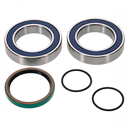 ALL BALLS CHAIN CASE BEARING & SEAL KIT (14-1087)