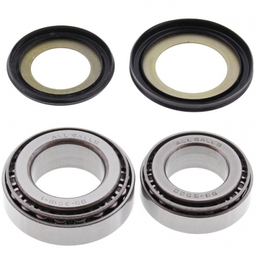 ALL BALLS STEERING BEARING KIT (22-1020)