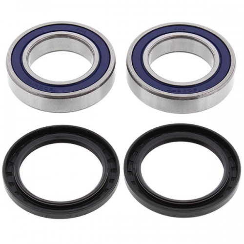 ALL BALLS WHEEL BEARING KIT (25-1132)