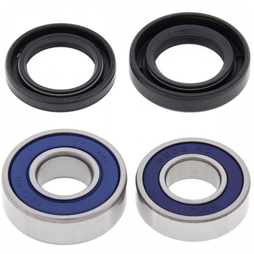 ALL BALLS WHEEL BEARING KIT (25-1160)