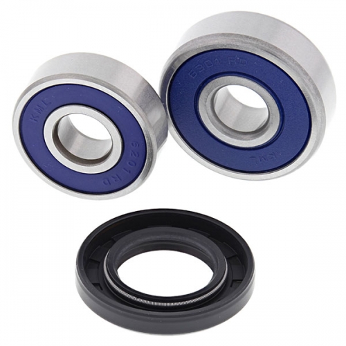 ALL BALLS WHEEL BEARING KIT (25-1191)