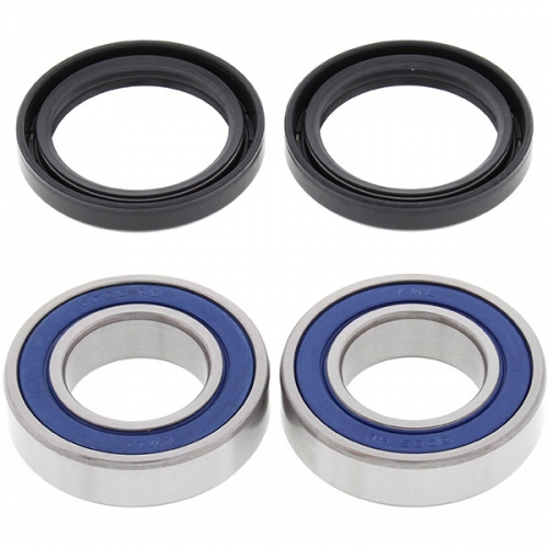 ALL BALLS WHEEL BEARING KIT (25-1351)