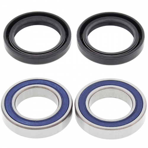 ALL BALLS WHEEL BEARING KIT (25-1364)