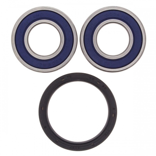 ALL BALLS WHEEL BEARING KIT (25-1417)