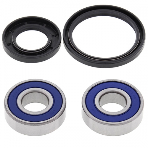 ALL BALLS WHEEL BEARING KIT (25-1472)