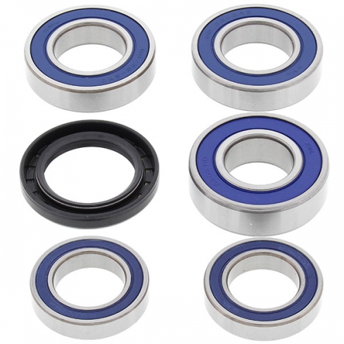 ALL BALLS WHEEL BEARING KIT (25-1656)