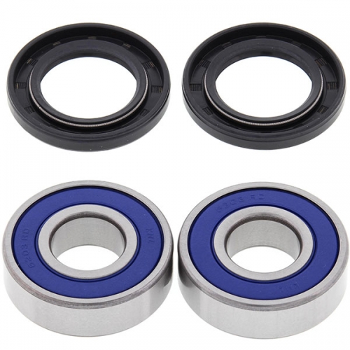 ALL BALLS WHEEL BEARING KIT (25-1659)