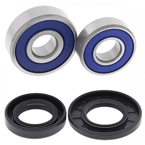 ALL BALLS WHEEL BEARING KIT (25-1695)