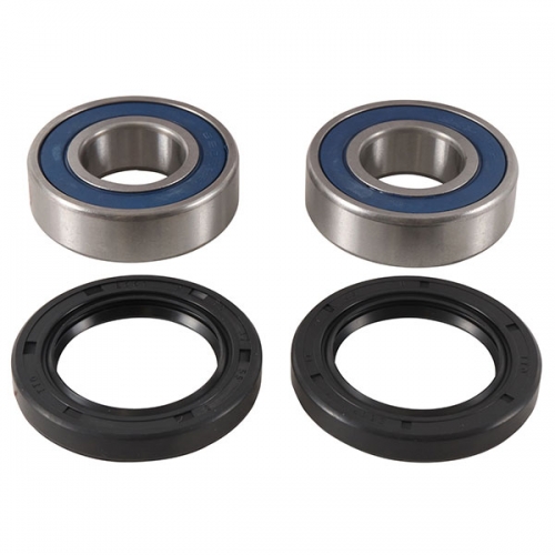 ALL BALLS WHEEL BEARING KIT (25-1738)