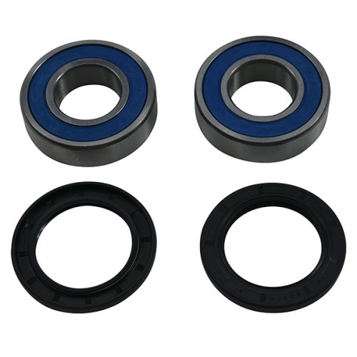 ALL BALLS WHEEL BEARING KIT (25-1799)