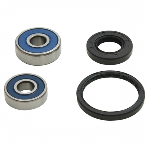 ALL BALLS WHEEL BEARING KIT (25-1811)