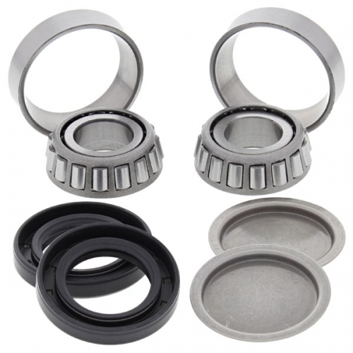 ALL BALLS SWING ARM BEARING & SEAL KIT (28-1155)