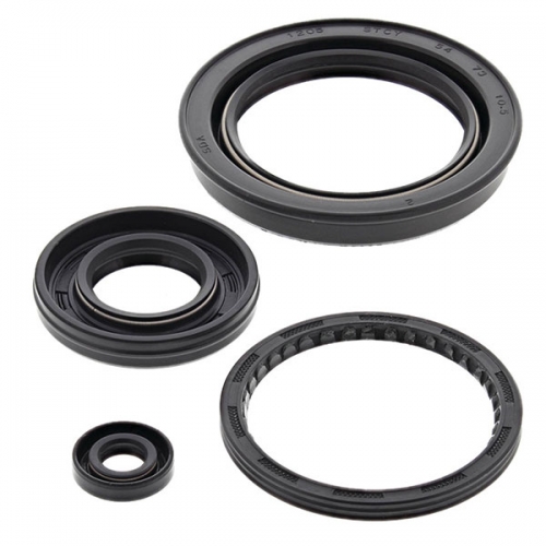 VERTEX ENGINE OIL SEAL KIT (55159)