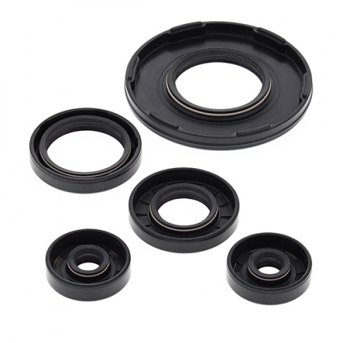 VERTEX ENGINE OIL SEAL KIT (55190)