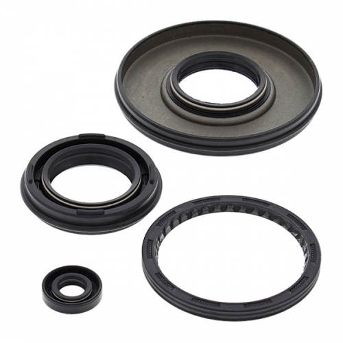 VERTEX ENGINE OIL SEAL KIT (55197)