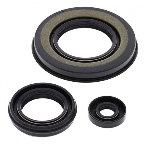 VERTEX ENGINE OIL SEAL KIT (55198)