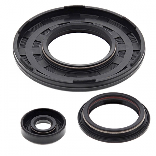 VERTEX ENGINE OIL SEAL KIT (55217)