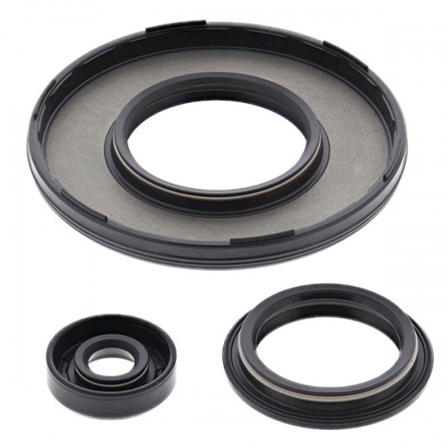 VERTEX ENGINE OIL SEAL KIT (55230)