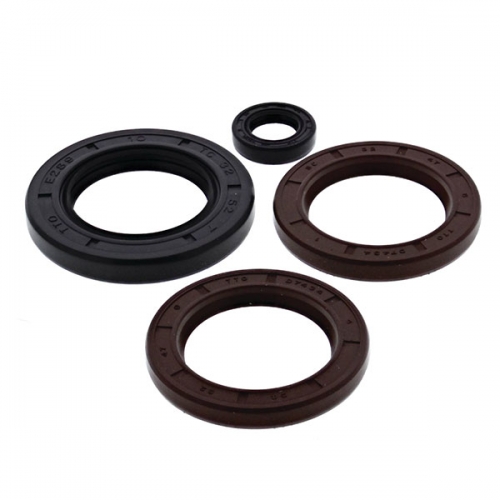 VERTEX ENGINE OIL SEAL KIT (622206)