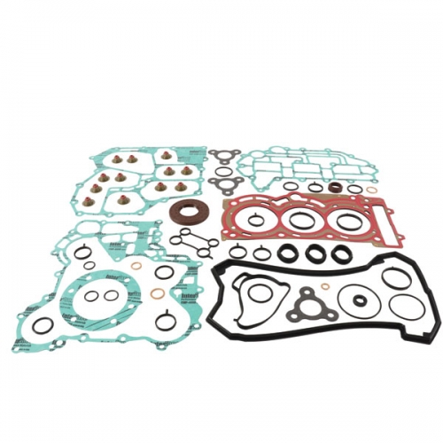 VERTEX GASKET SET & OIL SEALS (711324)