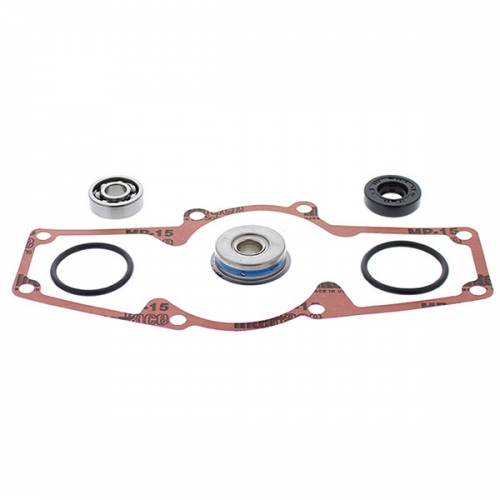 VERTEX WATER PUMP REBUILD KIT (721289)