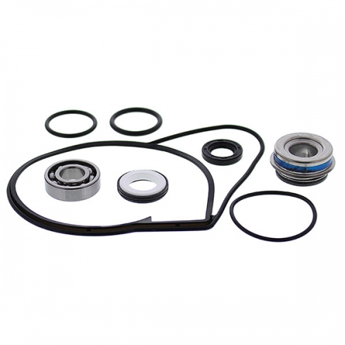 VERTEX WATER PUMP REBUILD KIT (721313)