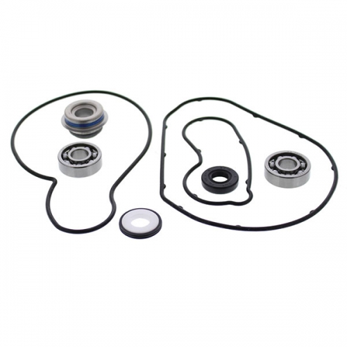 VERTEX WATER PUMP REBUILD KIT (721317)