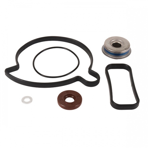 VERTEX WATER PUMP REBUILD KIT (721325)