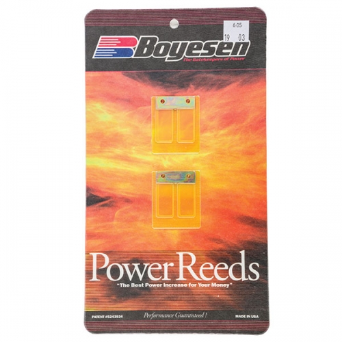 BOYESEN MOTORCYCLE POWER REED (605)