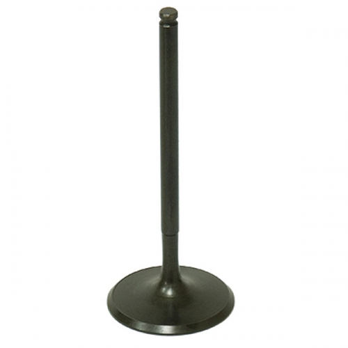 BRONCO ATV/UTV INTAKE VALVE (AU-09190I)