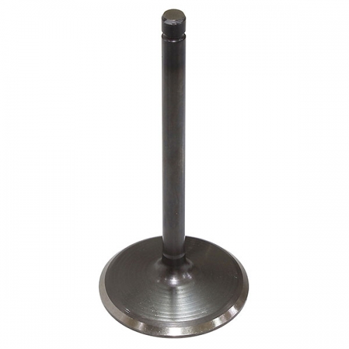 BRONCO ATV/UTV INTAKE VALVE (AU-09223I)