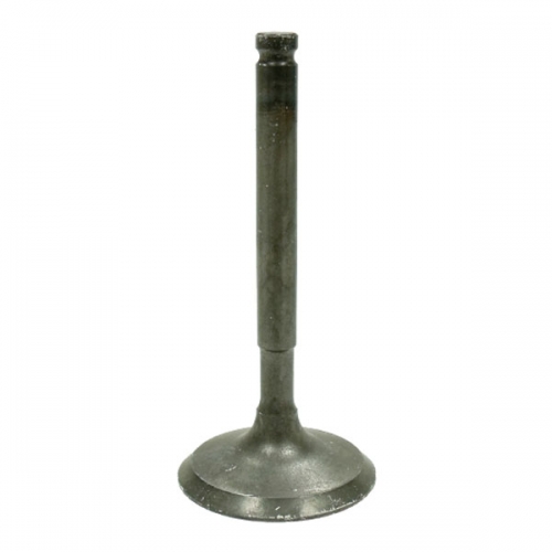 BRONCO ATV/UTV INTAKE VALVE (AU-09207I)