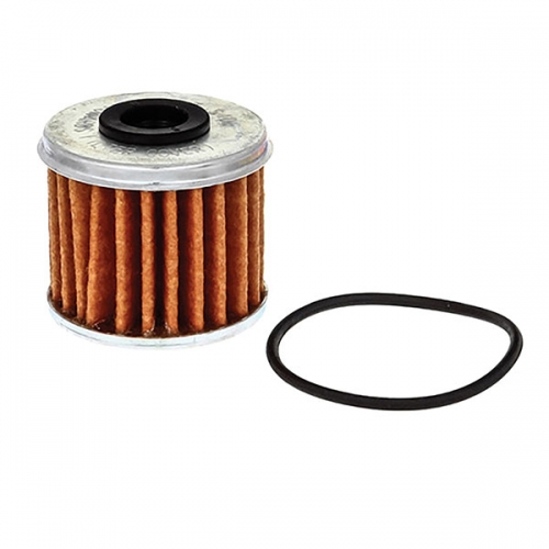 FRAM OIL FILTER (CH6096)