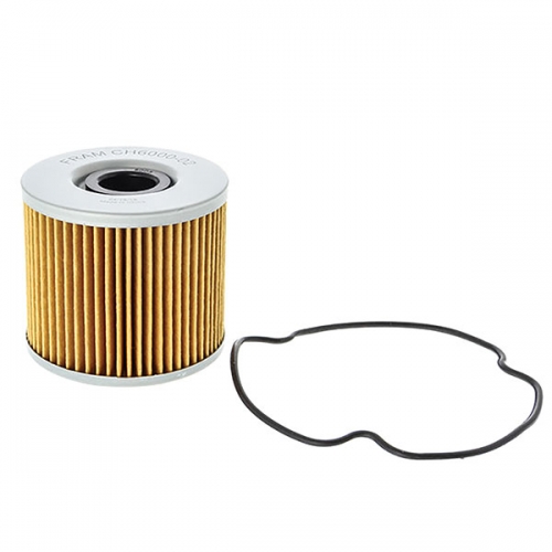 FRAM OIL FILTER (CH6000)