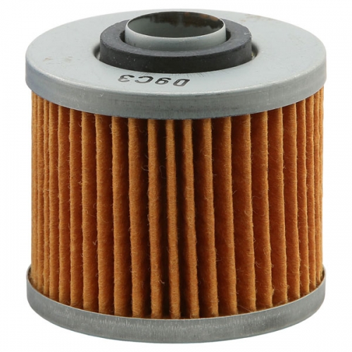 EMGO OIL FILTER (10-79100)