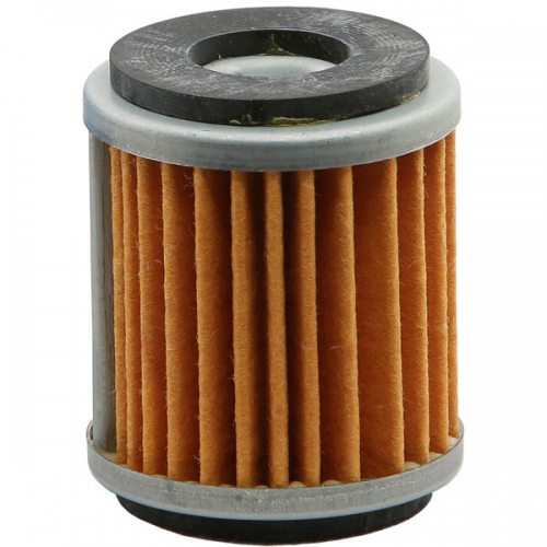 EMGO OIL FILTER (10-79130)