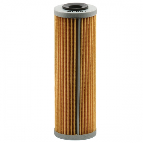 EMGO OIL FILTER (10-26955)