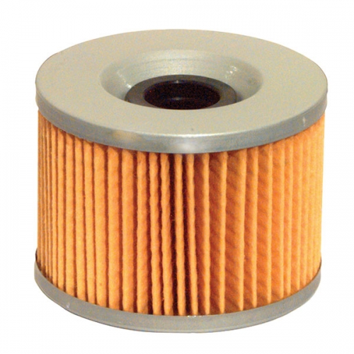 EMGO OIL FILTER (10-20300)