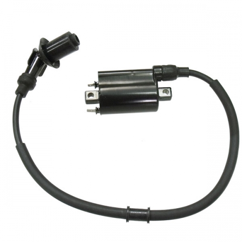 BRONCO IGNITION COIL (AT-01691)