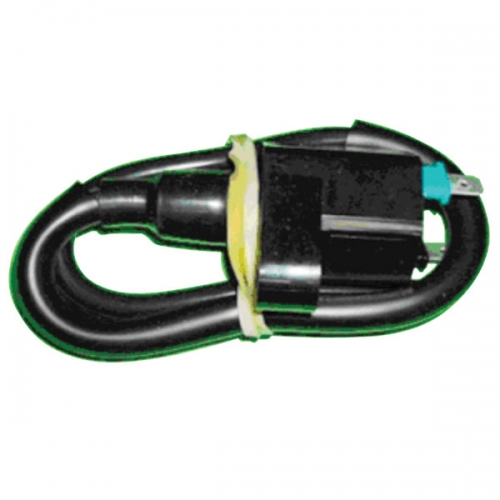 BRONCO IGNITION COIL (AT-01300)