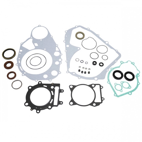 VERTEX GASKET SET & OIL SEALS (8110015)