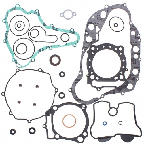 VERTEX GASKET SET & OIL SEALS (811916)