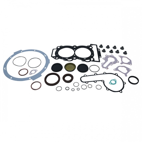 VERTEX GASKET SET & OIL SEALS (811964)