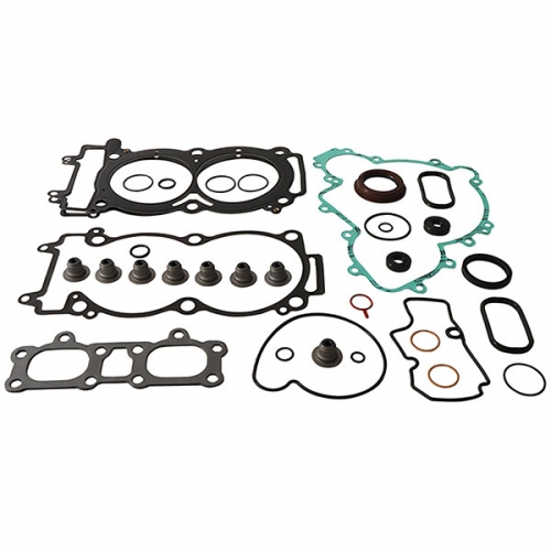 VERTEX GASKET SET & OIL SEALS (811969)