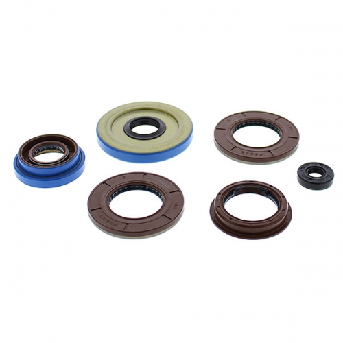 VERTEX ENGINE OIL SEAL KIT (822198)