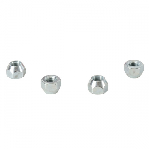 ALL BALLS WHEEL NUT KIT (85-1249)