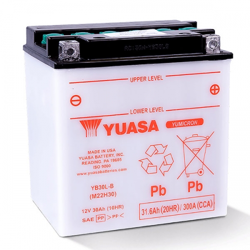 YUASA Yumicron High Performance Battery (YUAM22H30)